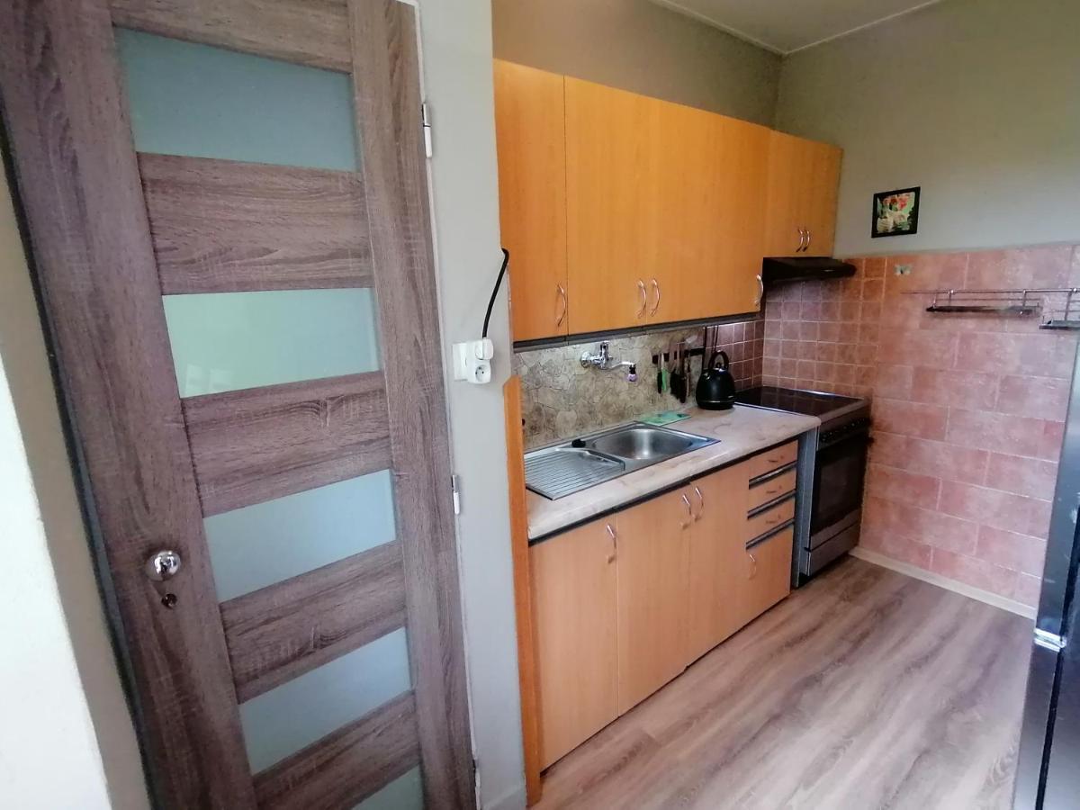 Rekreacni Chata Menfis Hořice na Šumavě Exterior foto